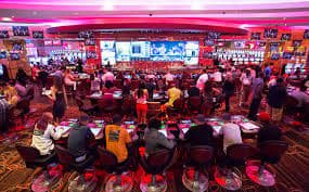Program loyalitas jmd89 di ponsel